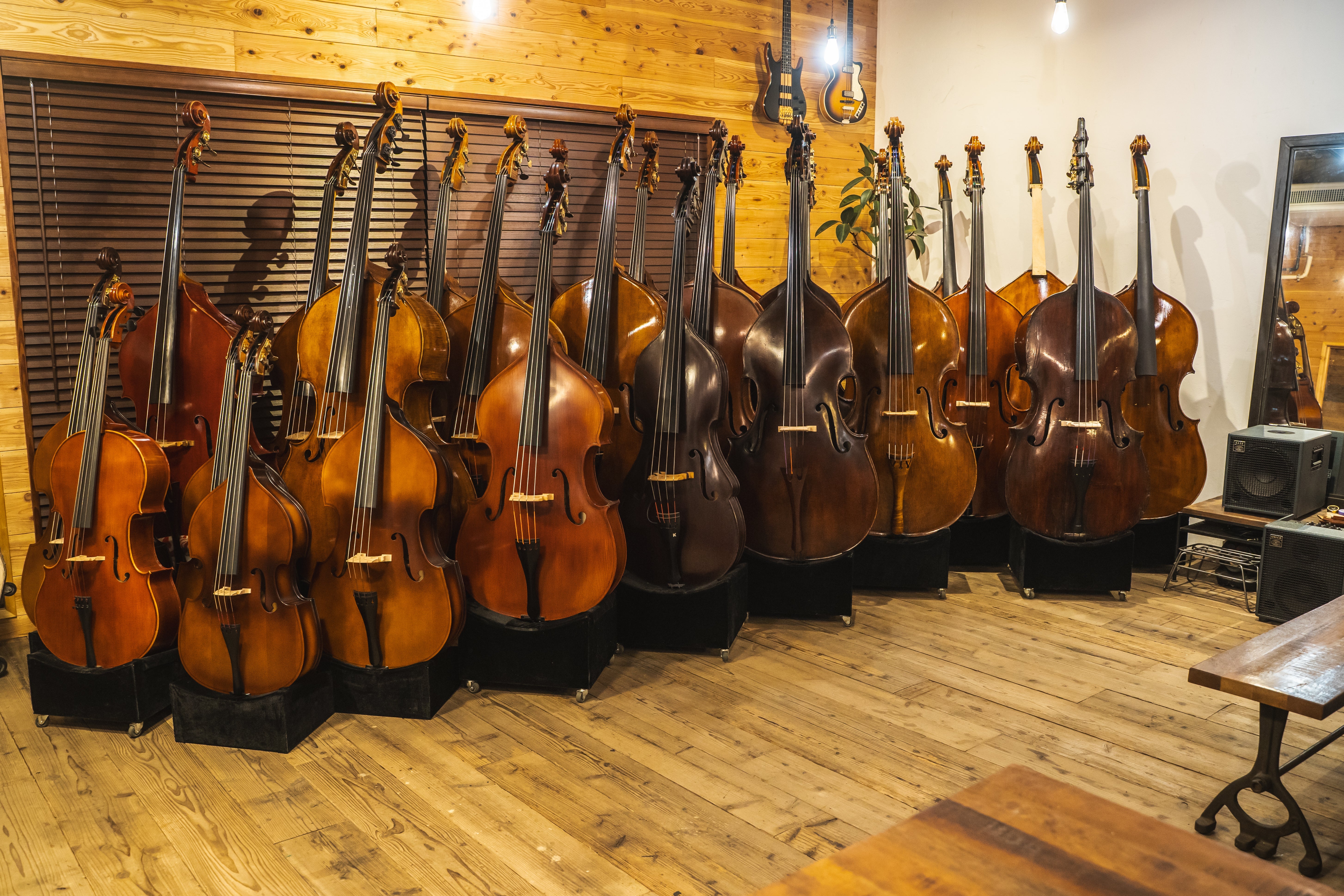 Instruments – BASS LIFE JAPAN Ltd.