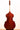 Eastman VB605 5strings 2007【イーストマン】