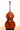 Urban Contrast Asia Laminate 1/8 size