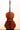 Urban Contrast Gasparo Da Salo Model 5strings【アウトレット】
