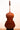 Urban Contrast Gasparo Da Salo Model 5strings【アウトレット】
