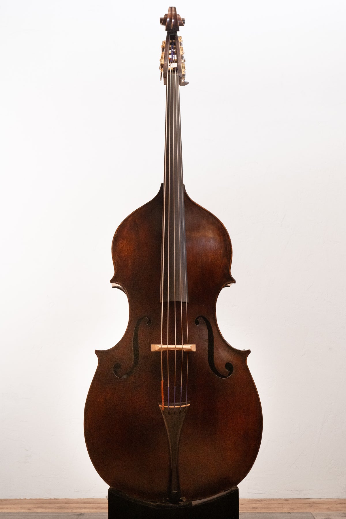 Urban Contrast P.A Testore Model 5strings – BASS LIFE JAPAN Ltd.