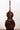 Urban Contrast P.A Testore Model 5strings