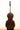 Urban Contrast P.A Testore Model 5strings
