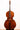 Urban Contrast Rossi Model 5strings 2
