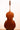 Urban Contrast Rossi Model 5strings 2