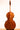 Urban Contrast Rossi Model 5strings 1